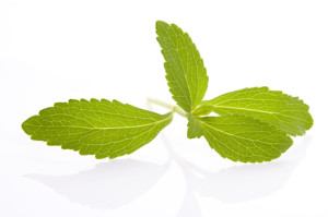 Stevia Kaufen